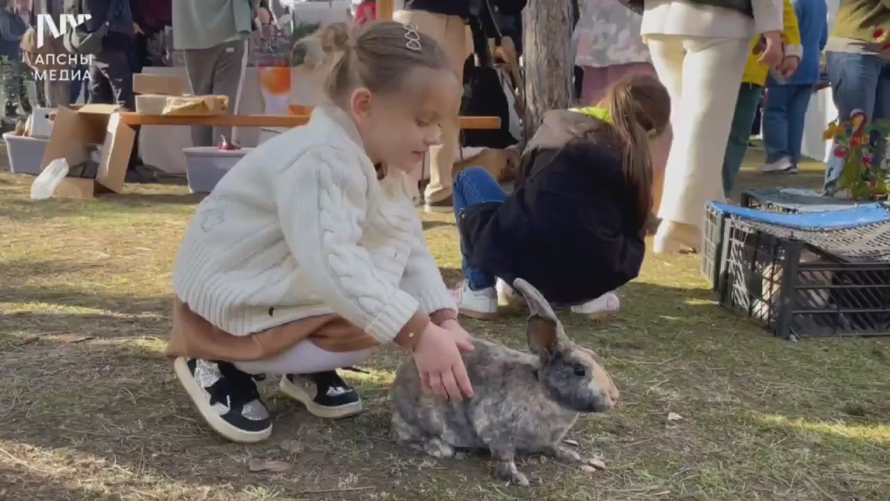 Гастрофестиваль «Вкус осени – фейхоа» проходит в Сухуме