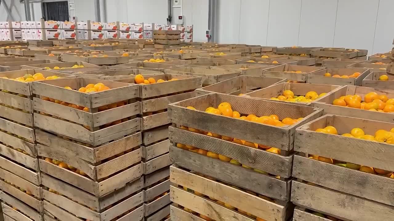 Бадра Гунба и Сергей Кириенко посетили «Абхазскую цитрусовую компанию»