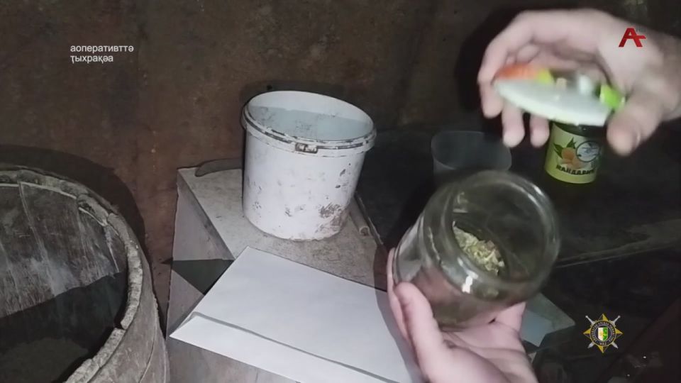 Амилициа аусзуца иаадыршит арышьыгат маашьара рымазаара афакта