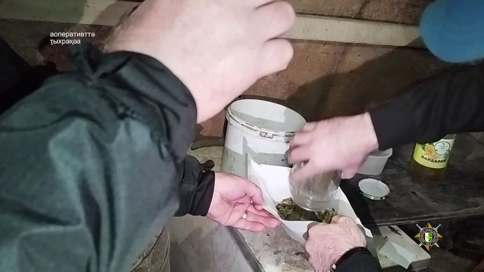 Амилициа аусзуца иаадыршит арышьыгат маашьара закан шьаада рымазаара афакта