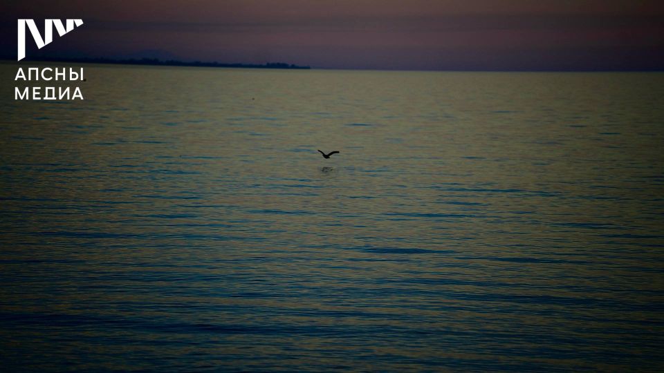В среду, 3 декабря, ожидается переменная облачность, местами ночью возможен дождь разной интенсивности, гроза, днем без осадков