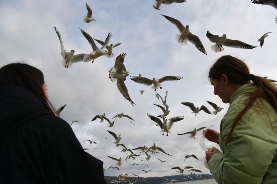 Прогноз погоды в Абхазии на четверг 4 декабря