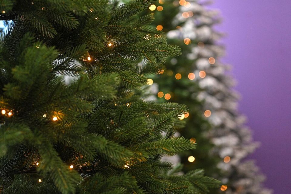 Охрану хвойных насаждений и контроль за продажей пиротехники обсудили в МВД Абхазии