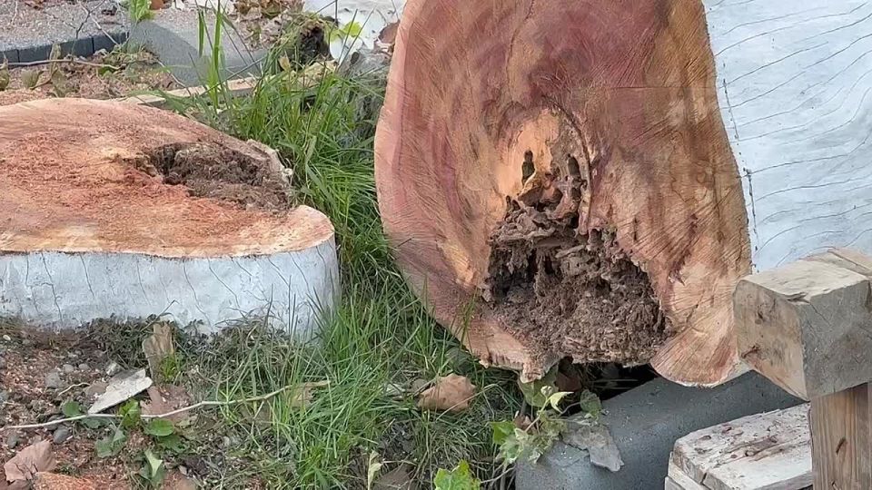 Благоустройство улицы Воронова проходит в столице