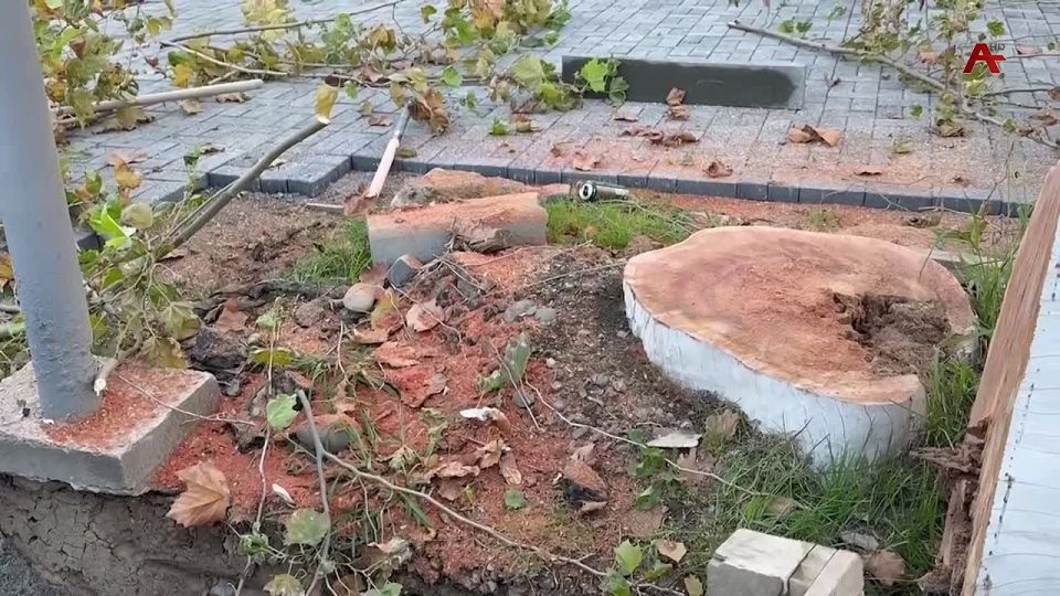 Администрация города Сухум продолжает работу по благоустройству столичных улиц