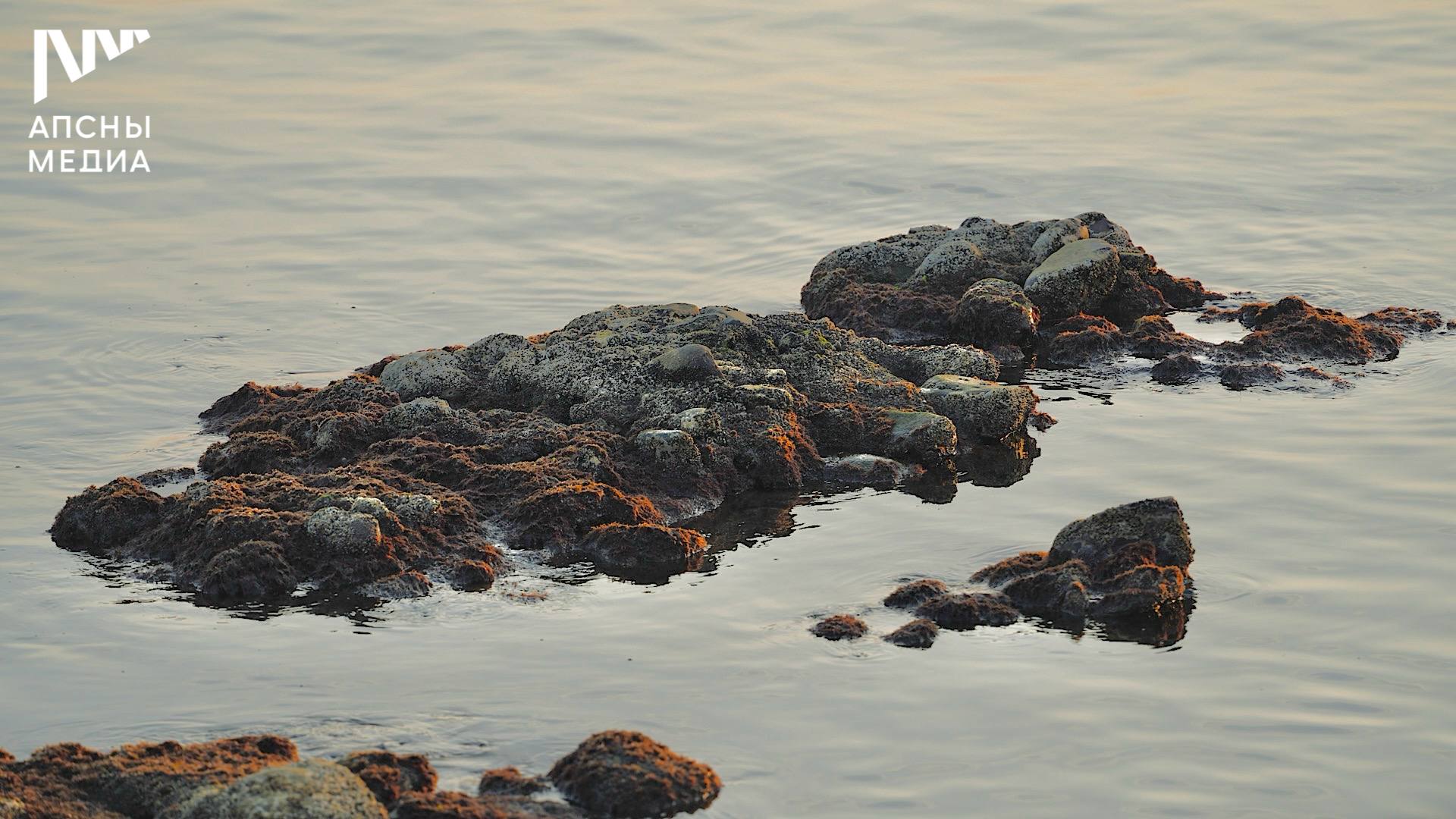 В понедельник, 8 декабря, ожидается, переменная облачность, ночью и утром дождь разной интенсивности, гроза, днем без осадков