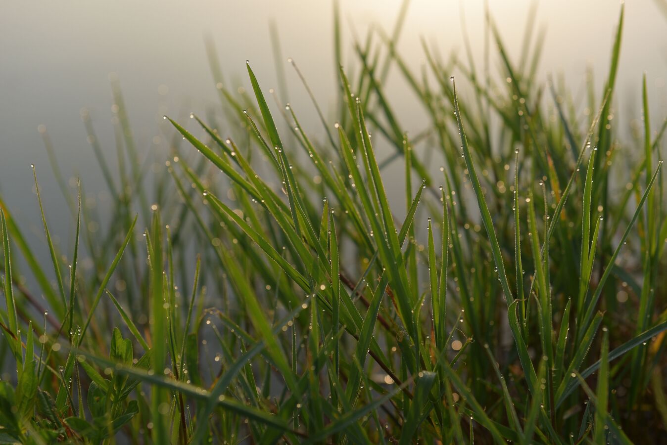 Прогноз погоды в Абхазии с 8 по 14 декабря
