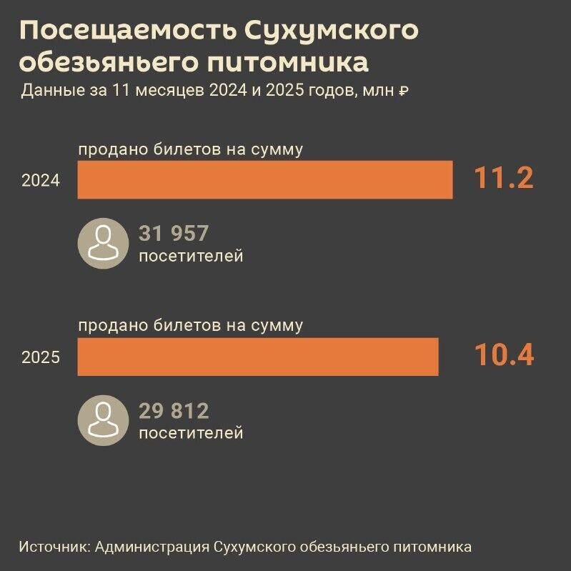 Почти 30 тыс. человек посетили Сухумский питомник обезьян за 11 месяцев 2025 года, это на 2 тыс. меньше, чем в прошлом году
