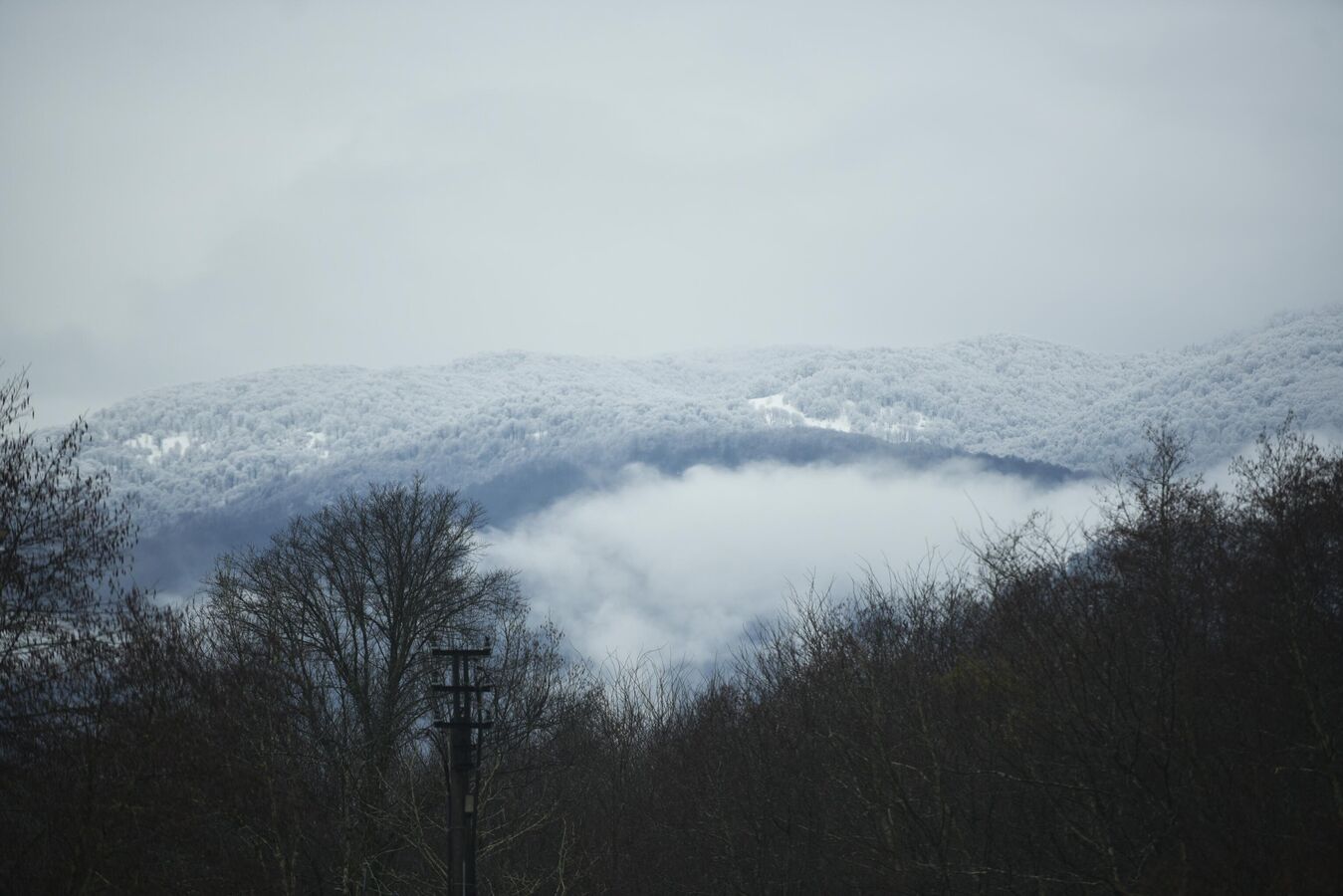 Прогноз погоды в Абхазии на четверг 11 декабря