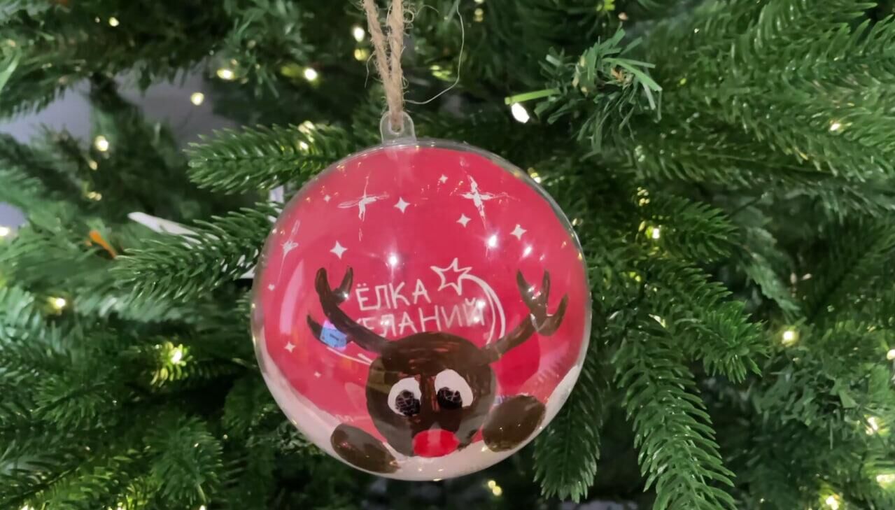 Акция "Елка желаний" пройдет в этом году в Абхазии