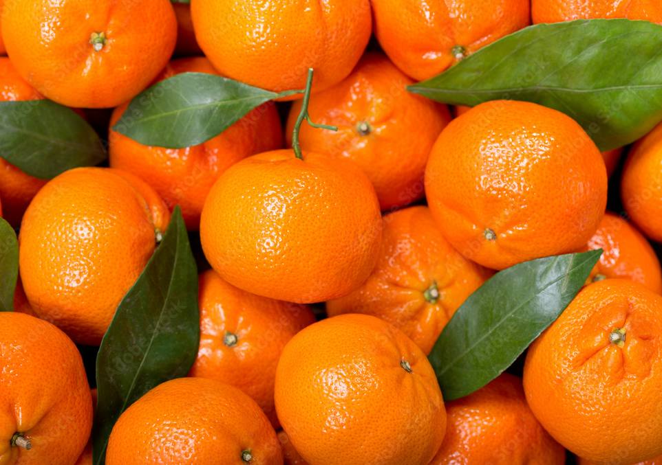 Экспорт мандаринов из Абхазии: цифры сезона