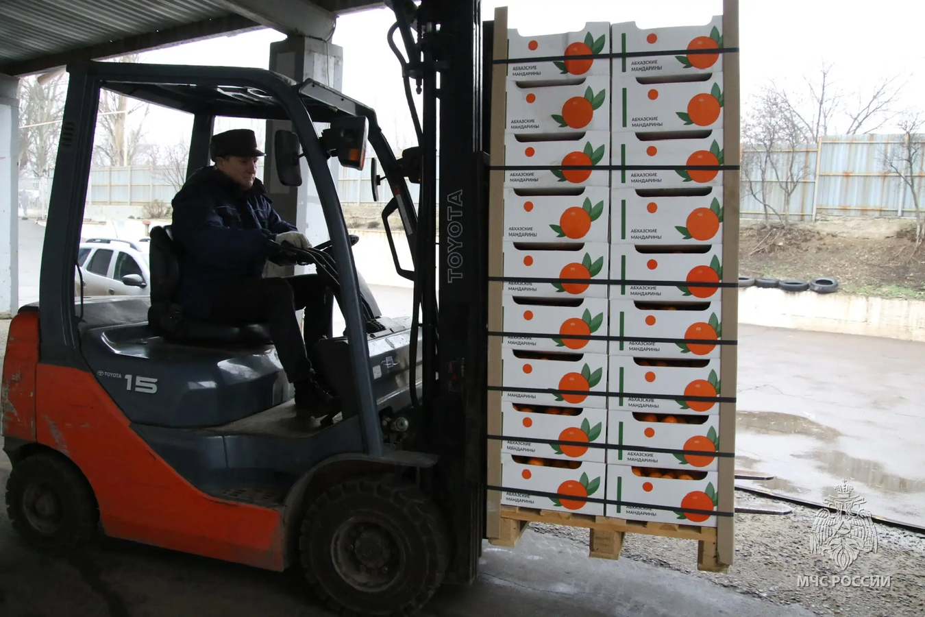 Абхазские мандарины привезли на Донбасс